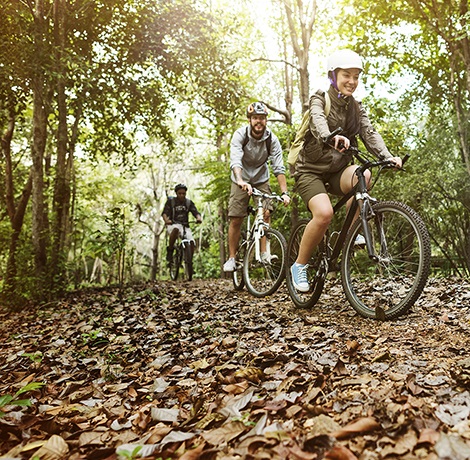 Fülöp Kerékpár Centrum Kft.