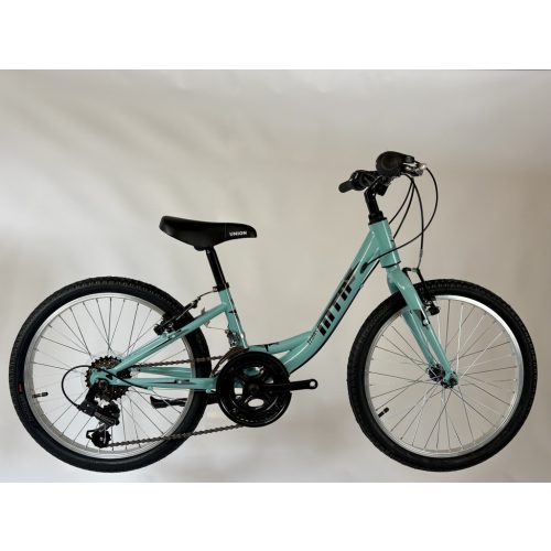 TransMontana MTB 20" leány 12 seb. acél