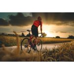 MERIDA SCULTURA END 4000 M SELYEM EZÜST